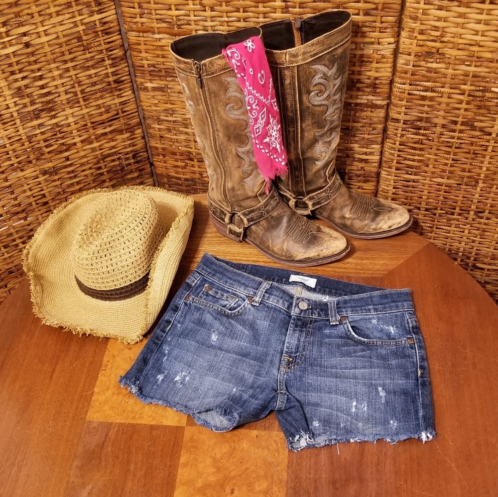 Uncharted Territory Jean Shorts